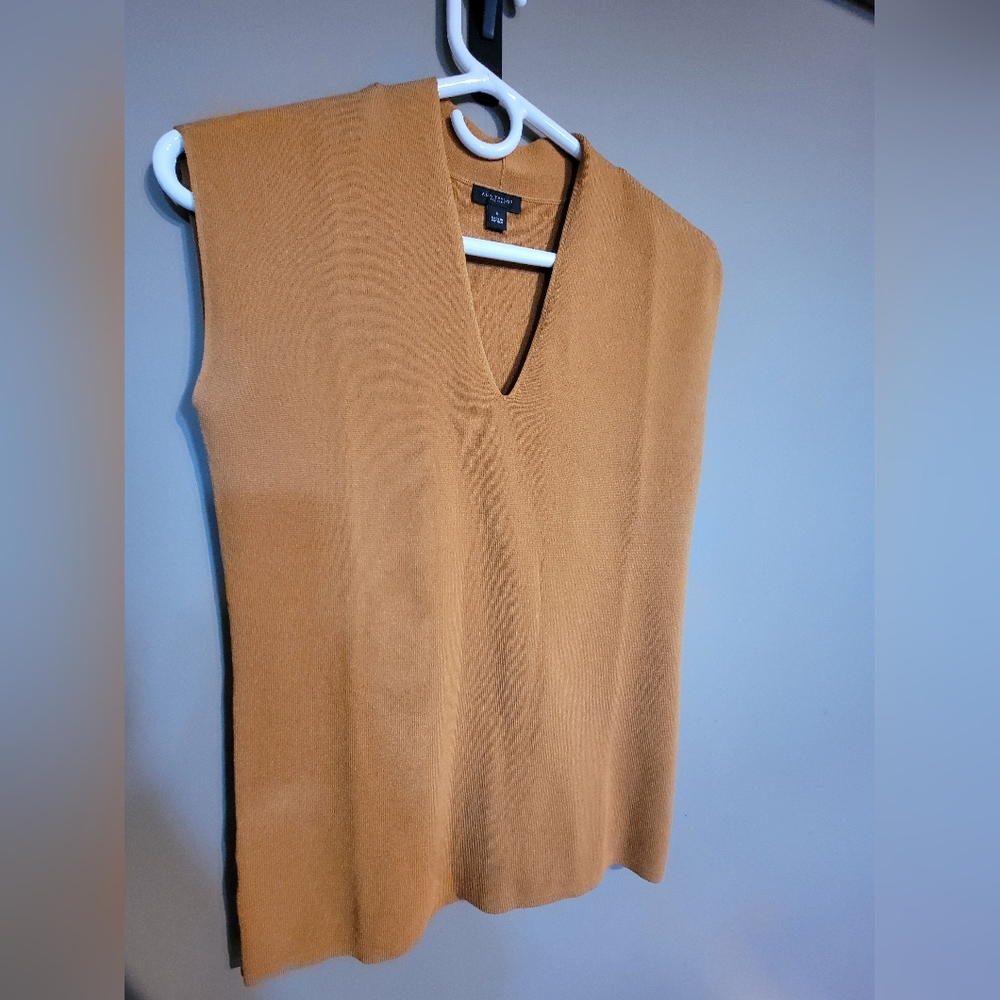 Ann Taylor Dressy tank